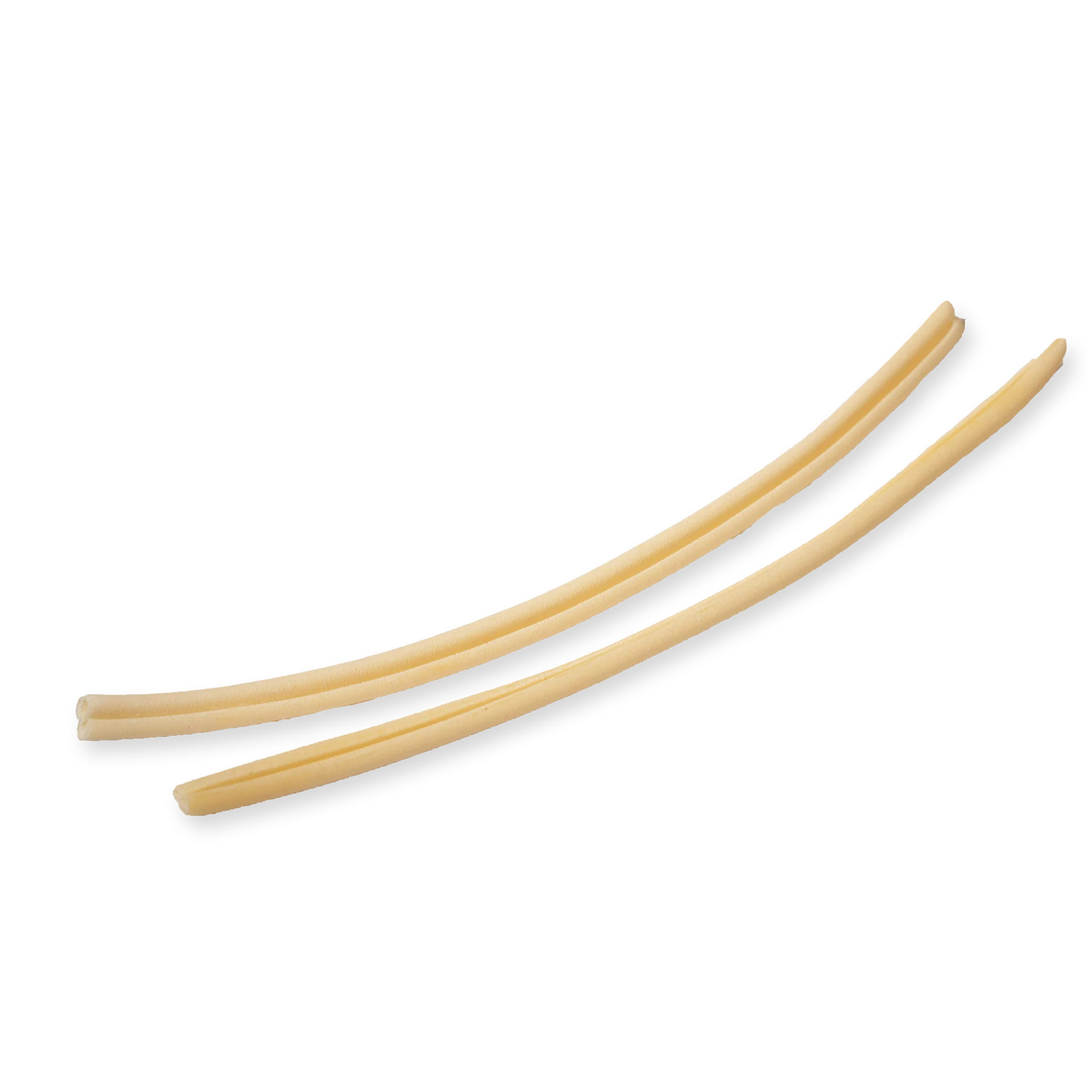 single piece of pasta about caserecce