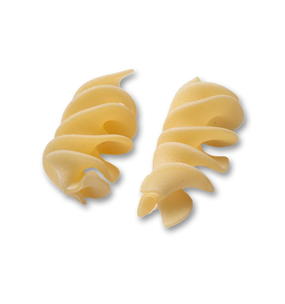 single piece of pasta about fusilloni