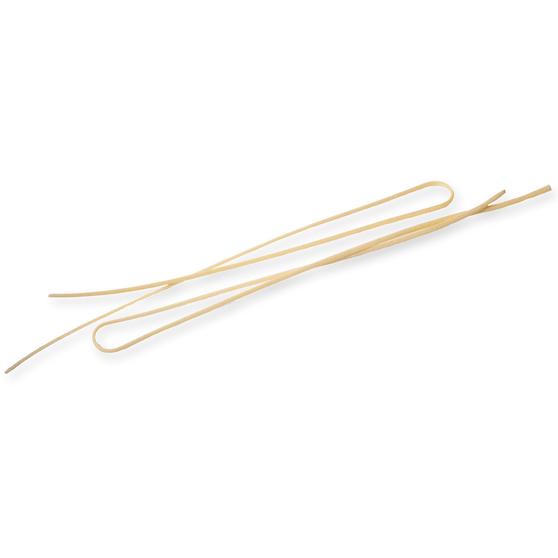 single piece of pasta about linguine