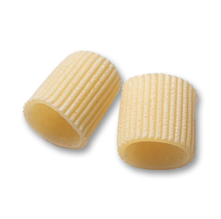 single piece of pasta about mezze-maniche-rigate