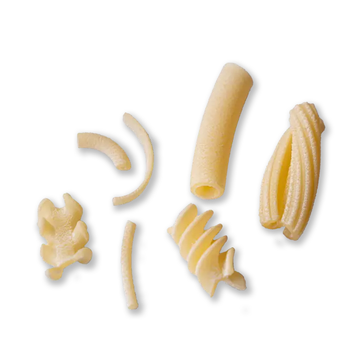 single piece of pasta about pasta-mista