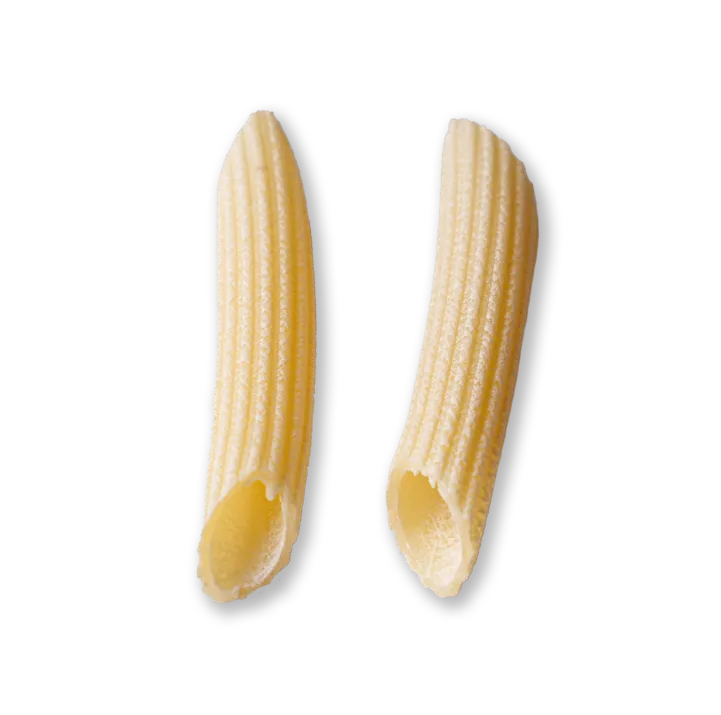 single piece of pasta about penne-rigate