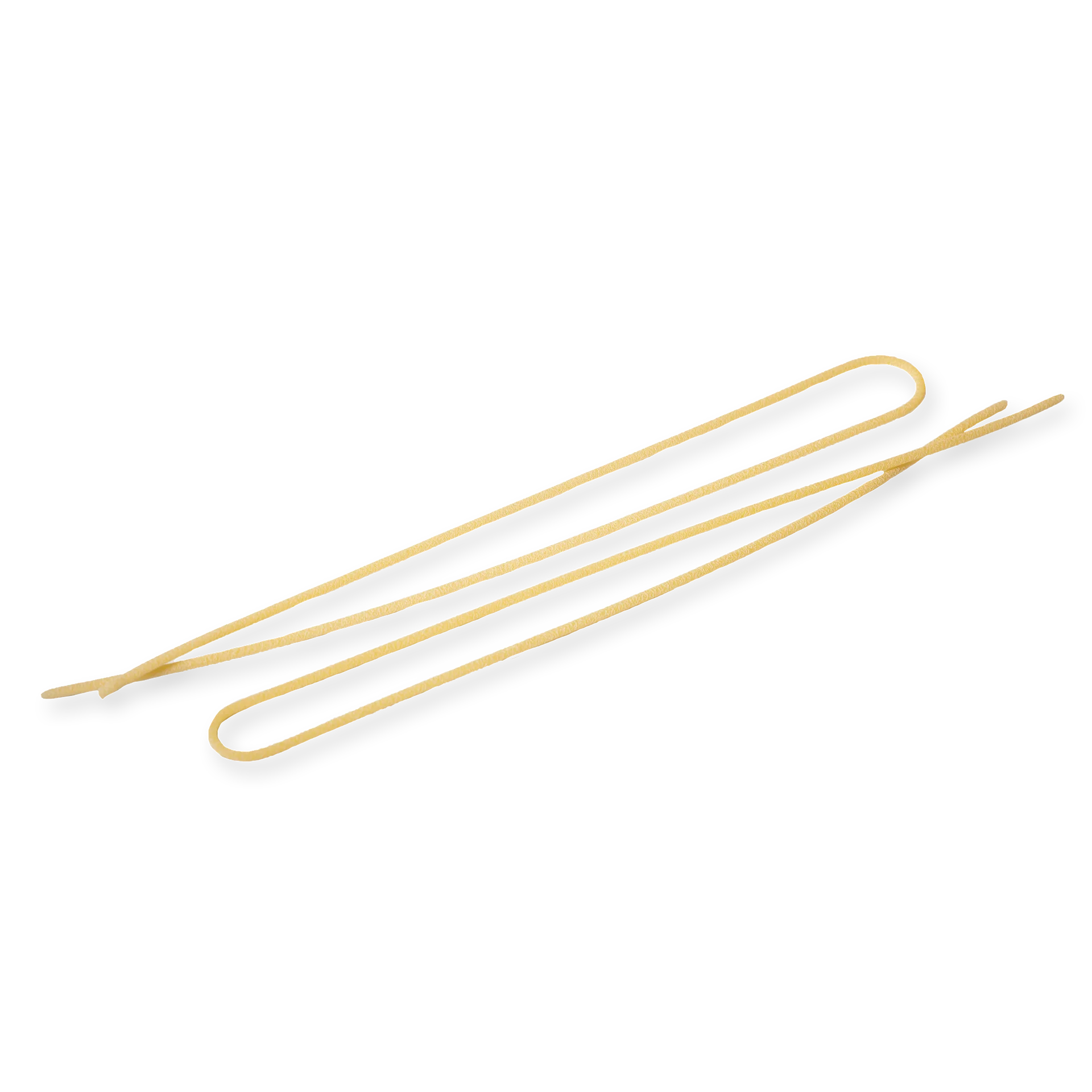 single piece of pasta about spaghettoni