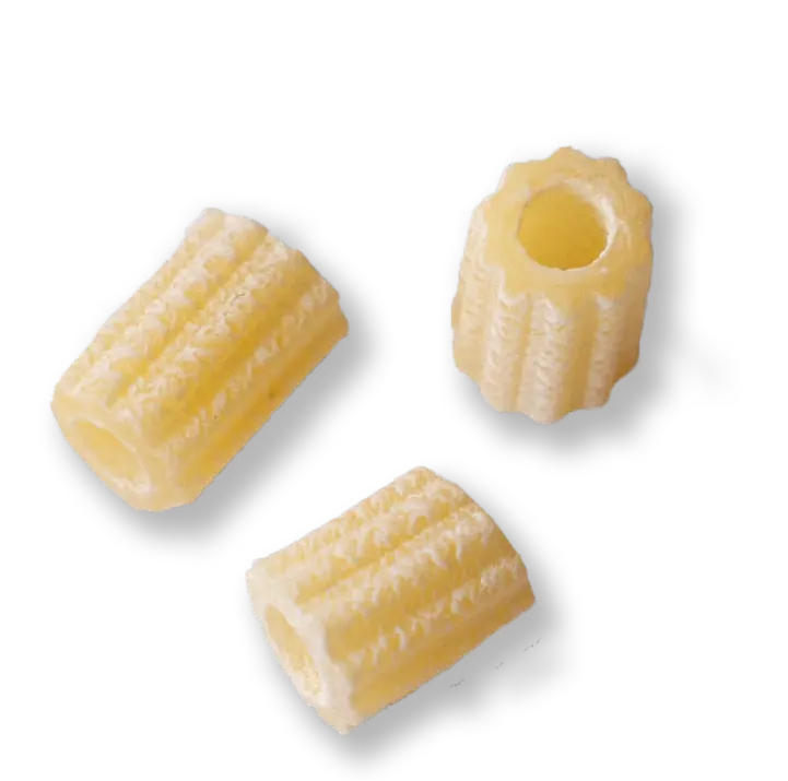 single piece of pasta about tubettini-rigati